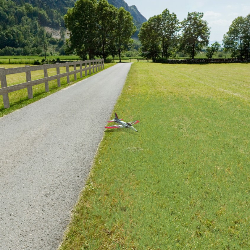 Alpine Meadow